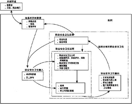 图1　职业安全卫生管理体系的系统化模式