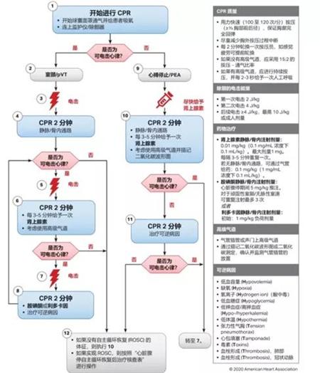 赛为安全应急救援技术03.jpg