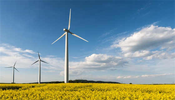 赛为安全 (43).jpg