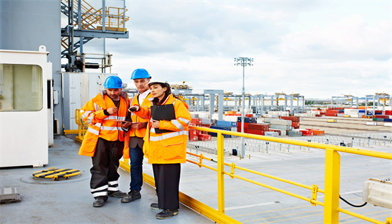 NEBOSH2.png